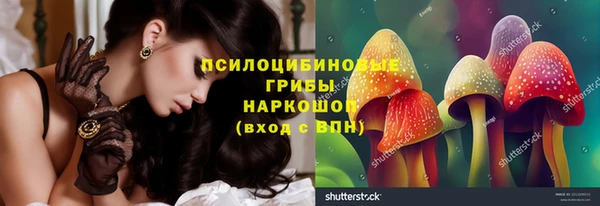 кокс Арсеньев