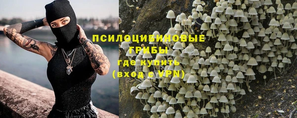 сатива Россошь